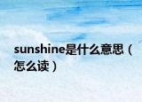 sunshine是什么意思（怎么读）