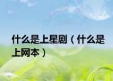 什么是上星剧（什么是上网本）
