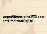 carpet和footcloth的区别（carpet和footcloth的区别）