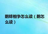 鹬蚌相争怎么读（鹬怎么读）