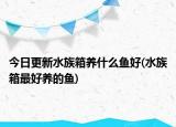 今日更新水族箱养什么鱼好(水族箱最好养的鱼)