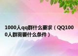 1000人qq群什么要求（QQ1000人群需要什么条件）
