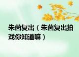 朱茵复出（朱茵复出拍戏你知道嘛）