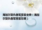 海加尔复仇者军需官坐骑（海加尔复仇者军需官在哪）