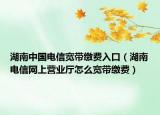 湖南中国电信宽带缴费入口（湖南电信网上营业厅怎么宽带缴费）