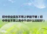 初中毕业实在不想上学能干嘛（初中毕业不想上高中干点什么比较好）