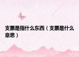 支票是指什么东西（支票是什么意思）
