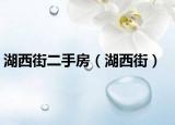湖西街二手房（湖西街）