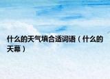什么的天气填合适词语（什么的天幕）