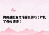 肯德基的变异鸡的真的吗（拜托了各位 谢谢）