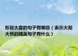 形容大雾的句子有哪些（表示大彻大悟的精美句子有什么）