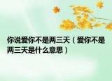 你说爱你不是两三天（爱你不是两三天是什么意思）