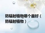 防辐射植物哪个最好（防辐射植物）