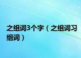 之组词3个字（之组词习组词）