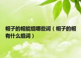 帽子的帽能组哪些词（帽子的帽有什么组词）