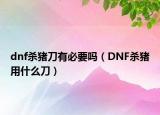dnf杀猪刀有必要吗（DNF杀猪用什么刀）