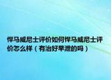 悍马威尼士评价如何悍马威尼士评价怎么样（有治好早泄的吗）