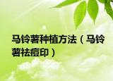 马铃薯种植方法（马铃薯祛痘印）