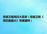 安徽卫视周日大赢家（安徽卫视《周日我最大》有重播吗）