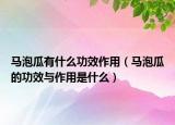 马泡瓜有什么功效作用（马泡瓜的功效与作用是什么）