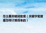 怎么看关键词密度（关键字密度是怎样计算得来的）