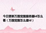 今日更新万国觉醒服务器id怎么看（万国觉醒怎么查id）