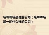 哇唧唧哇是谁的公司（哇唧唧哇是一间什么样的公司）