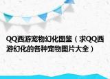 QQ西游宠物幻化图鉴（求QQ西游幻化的各种宠物图片大全）