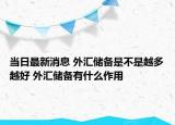 当日最新消息 外汇储备是不是越多越好 外汇储备有什么作用