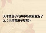 天津曹庄子花卉市场恢复营业了么（天津曹庄子冰雕）