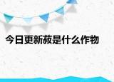 今日更新菽是什么作物