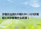 沙发什么叫123和124（123沙发和134沙发有什么区别）