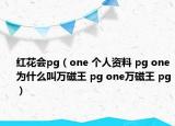 红花会pg（one 个人资料 pg one为什么叫万磁王 pg one万磁王 pg）