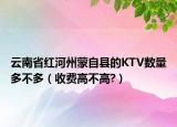 云南省红河州蒙自县的KTV数量多不多（收费高不高?）