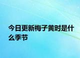 今日更新梅子黄时是什么季节