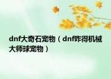 dnf大奇石宠物（dnf咋得机械大师球宠物）
