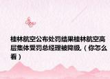 桂林航空公布处罚结果桂林航空高层集体受罚总经理被降级,（你怎么看）