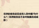 非洲的蝗虫是否会进入到中国?为什么?（非洲蝗虫会不会对我国造成威胁）