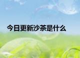 今日更新沙茶是什么
