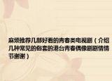 麻烦推荐几部好看的青春类电视剧（介绍几种常见的俗套的港台青春偶像剧剧情情节谢谢）