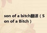 son of a bitch翻译（Son of a Bitch）