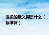 温柔的反义词是什么（标准答）