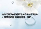 鹿鼎记钟汉良真的捏了黄晓明的下面吗（大家感觉如何 看到的请说一说吧）