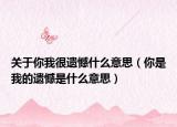 关于你我很遗憾什么意思（你是我的遗憾是什么意思）
