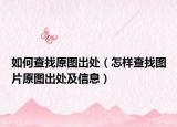 如何查找原图出处（怎样查找图片原图出处及信息）