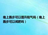 晚上跑步可以提升阳气吗（晚上跑步可以减肥吗）