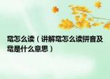 鼋怎么读（讲解鼋怎么读拼音及鼋是什么意思）