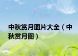 中秋赏月图片大全（中秋赏月图）