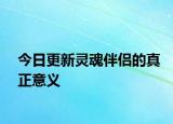 今日更新灵魂伴侣的真正意义