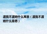 渡我不渡她什么寓意（渡我不渡她什么意思）